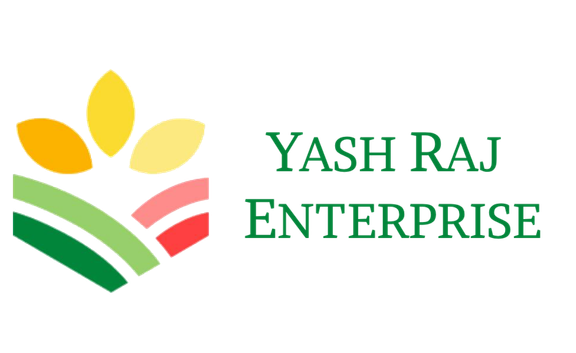 Client Logo 11